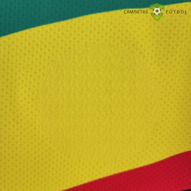 Camiseta Senegal 22-23, Alternativa Negro